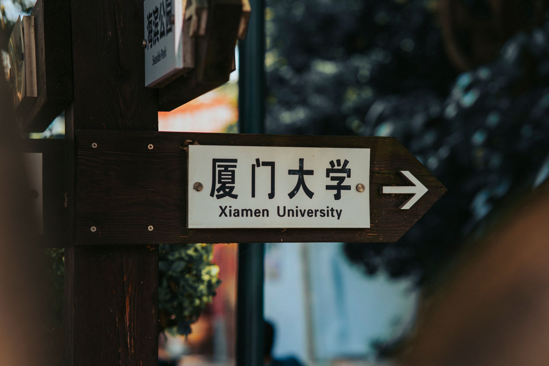 雷丁大学 admission requirements